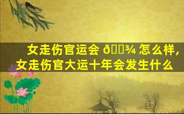 女走伤官运会 🌾 怎么样,女走伤官大运十年会发生什么